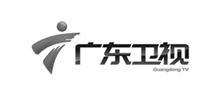 广东卫视